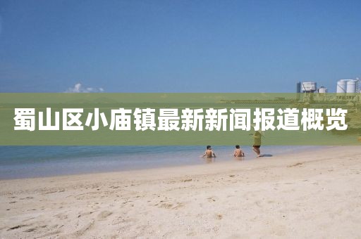 蜀山区小庙镇最新新闻报道概览