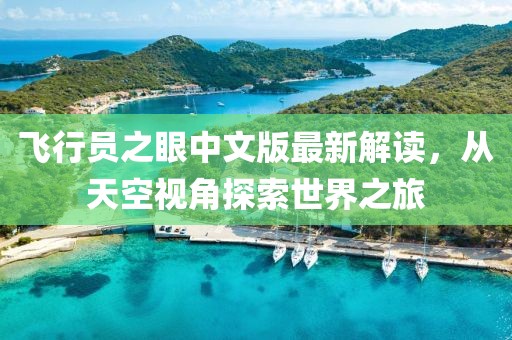 飞行员之眼中文版最新解读，从天空视角探索世界之旅