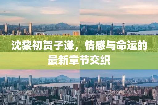 沈黎初贺子谦，情感与命运的最新章节交织