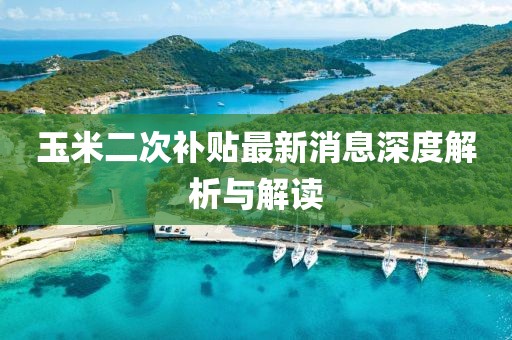 玉米二次补贴最新消息深度解析与解读