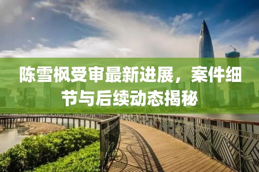 陈雪枫受审最新进展，案件细节与后续动态揭秘