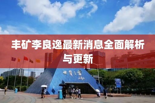 丰矿李良逸最新消息全面解析与更新