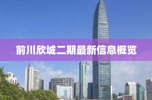 前川欣城二期最新信息概览