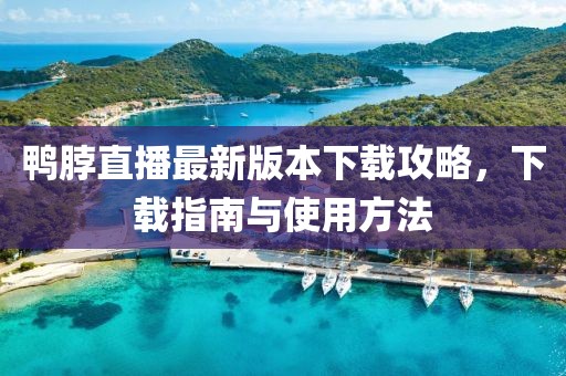 鸭脖直播最新版本下载攻略，下载指南与使用方法