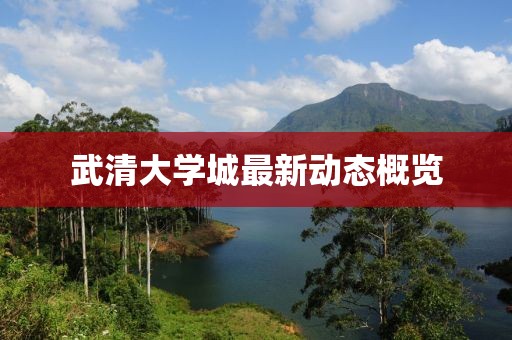 武清大学城最新动态概览
