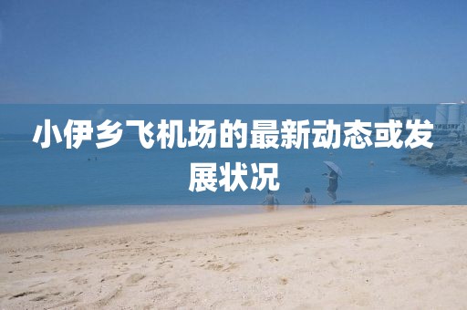 小伊乡飞机场的最新动态或发展状况