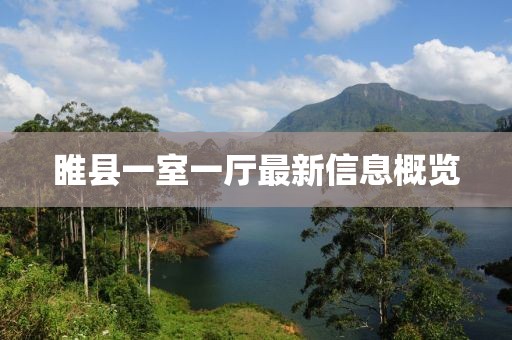 睢县一室一厅最新信息概览
