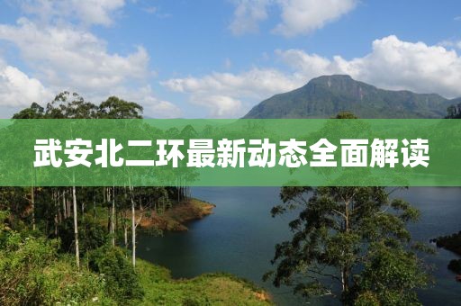 武安北二环最新动态全面解读