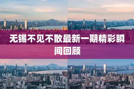 无锡不见不散最新一期精彩瞬间回顾