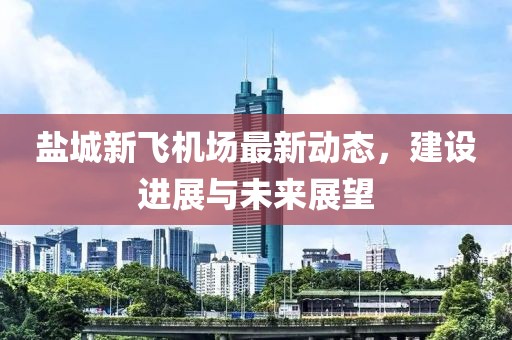 盐城新飞机场最新动态，建设进展与未来展望