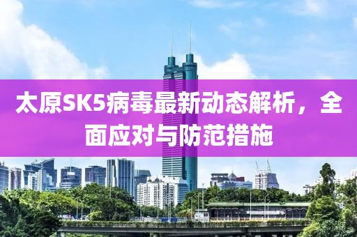 太原SK5病毒最新动态解析，全面应对与防范措施