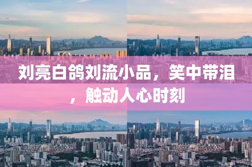 刘亮白鸽刘流小品，笑中带泪，触动人心时刻