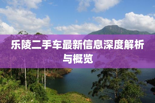 乐陵二手车最新信息深度解析与概览