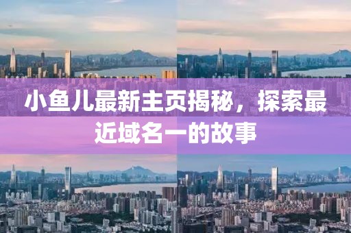 小鱼儿最新主页揭秘，探索最近域名一的故事