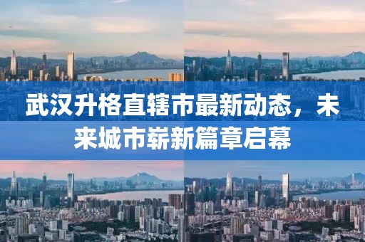 武汉升格直辖市最新动态，未来城市崭新篇章启幕