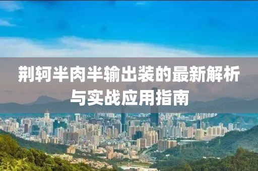 荆轲半肉半输出装的最新解析与实战应用指南