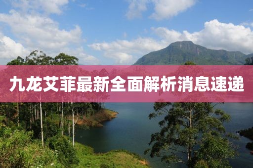九龙艾菲最新全面解析消息速递