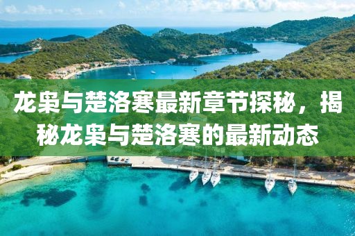 龙枭与楚洛寒最新章节探秘，揭秘龙枭与楚洛寒的最新动态