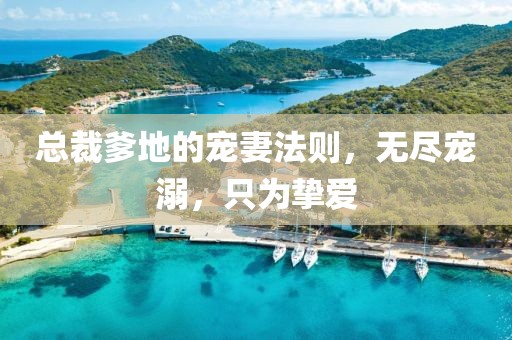 总裁爹地的宠妻法则，无尽宠溺，只为挚爱