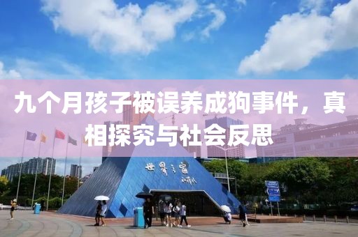 九个月孩子被误养成狗事件，真相探究与社会反思