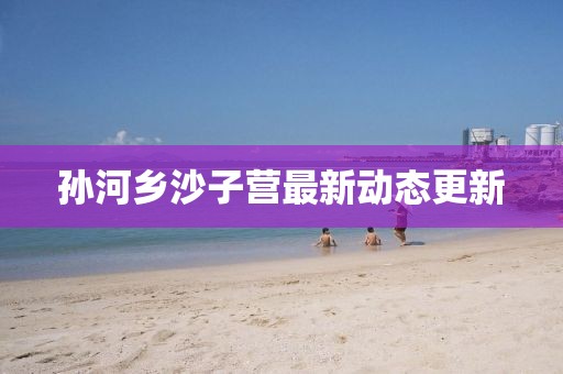孙河乡沙子营最新动态更新