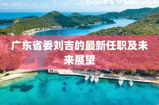 广东省委刘吉的最新任职及未来展望