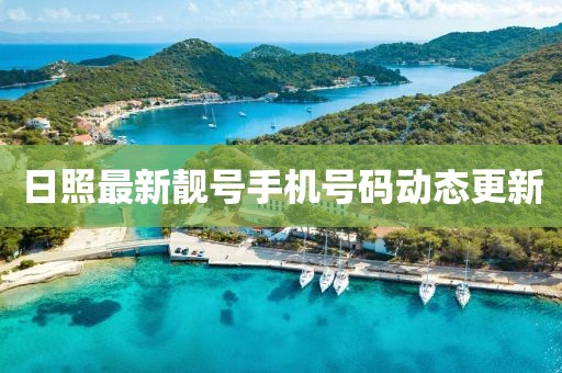 日照最新靓号手机号码动态更新