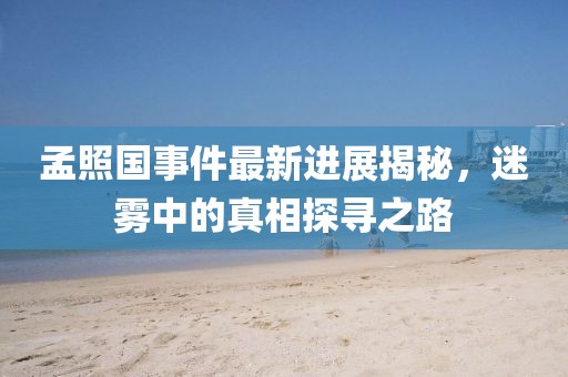 孟照国事件最新进展揭秘，迷雾中的真相探寻之路