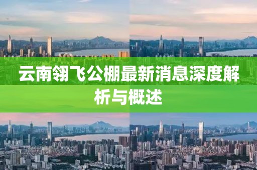 云南翎飞公棚最新消息深度解析与概述