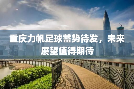 重庆力帆足球蓄势待发，未来展望值得期待