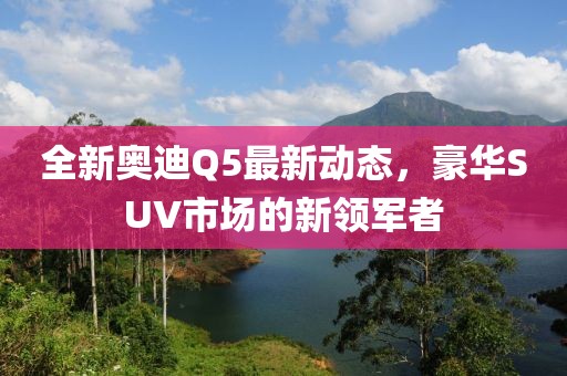 全新奥迪Q5最新动态，豪华SUV市场的新领军者