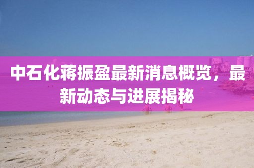 中石化蒋振盈最新消息概览，最新动态与进展揭秘