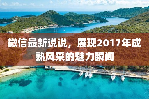 微信最新说说，展现2017年成熟风采的魅力瞬间