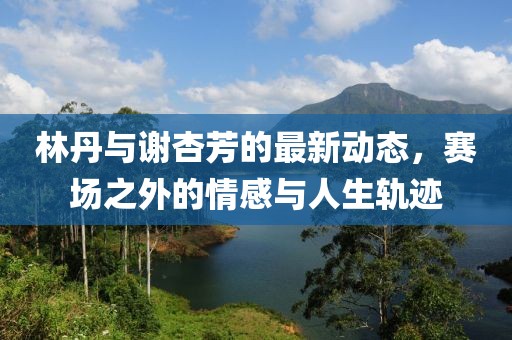 林丹与谢杏芳的最新动态，赛场之外的情感与人生轨迹