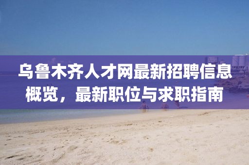 乌鲁木齐人才网最新招聘信息概览，最新职位与求职指南