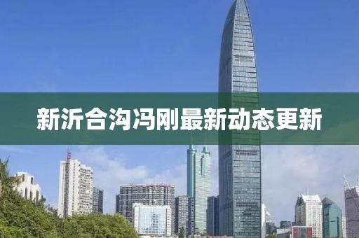 新沂合沟冯刚最新动态更新