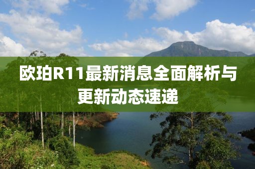 欧珀R11最新消息全面解析与更新动态速递
