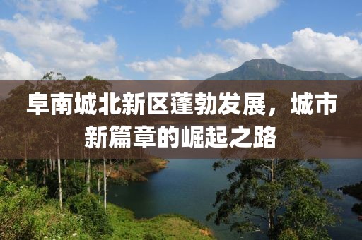 阜南城北新区蓬勃发展，城市新篇章的崛起之路