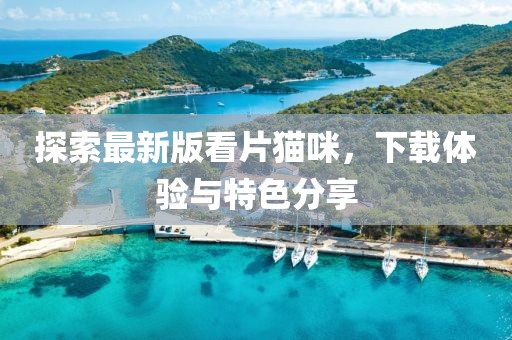 探索最新版看片猫咪，下载体验与特色分享