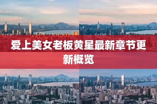 爱上美女老板黄星最新章节更新概览