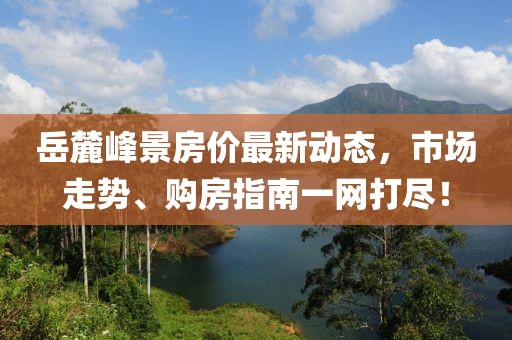 岳麓峰景房价最新动态，市场走势、购房指南一网打尽！