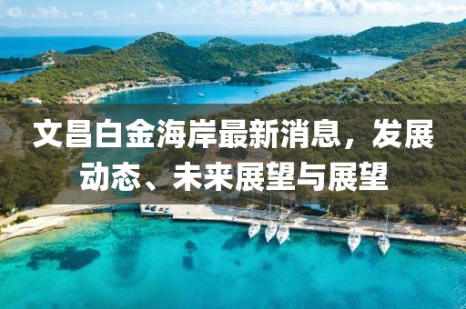 文昌白金海岸最新消息，发展动态、未来展望与展望