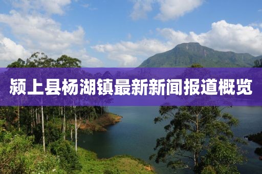 颍上县杨湖镇最新新闻报道概览