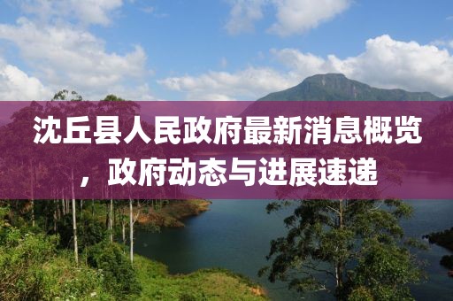 沈丘县人民政府最新消息概览，政府动态与进展速递