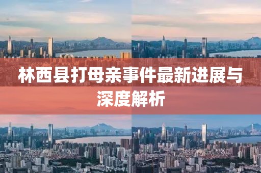 林西县打母亲事件最新进展与深度解析