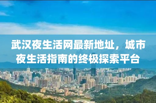 武汉夜生活网最新地址，城市夜生活指南的终极探索平台