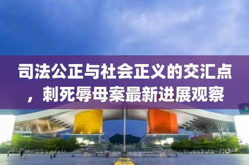司法公正与社会正义的交汇点，刺死辱母案最新进展观察