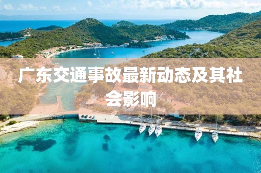 广东交通事故最新动态及其社会影响