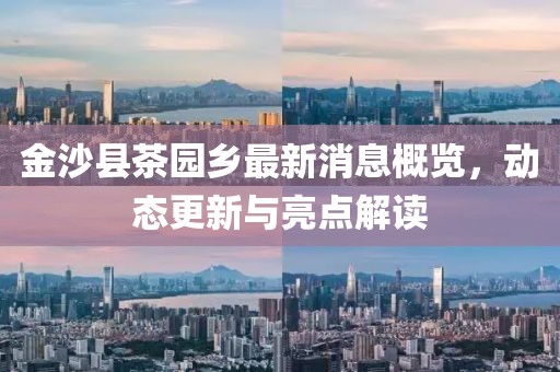 金沙县茶园乡最新消息概览，动态更新与亮点解读