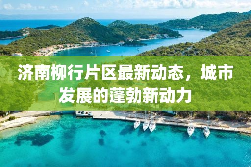 济南柳行片区最新动态，城市发展的蓬勃新动力